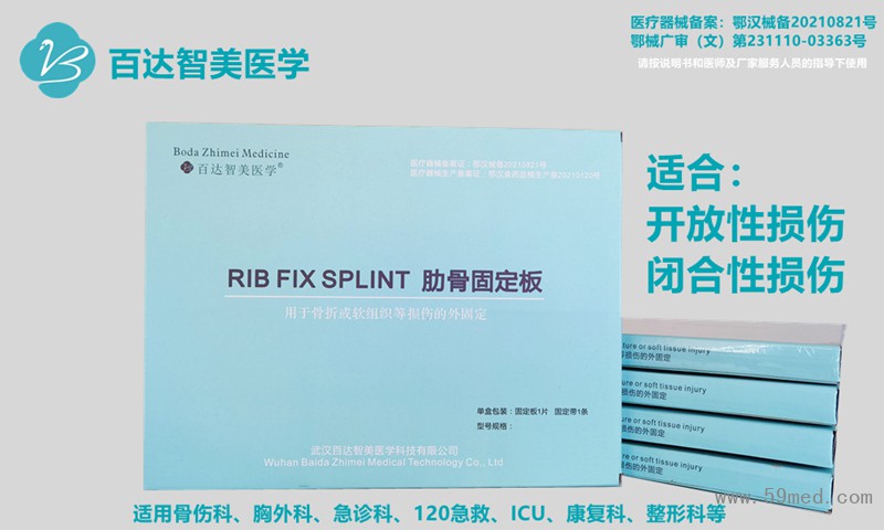 肋骨固定板_副本_副本_副本